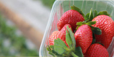 Fresh Strawberries