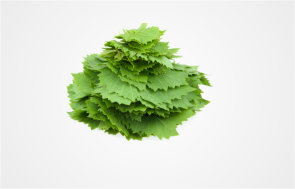 Vine Leaves